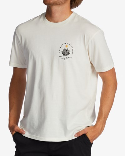 Billabong A/Div Agave Organic Corta Sleeve T-Shirt Blancos | YAPDG4018